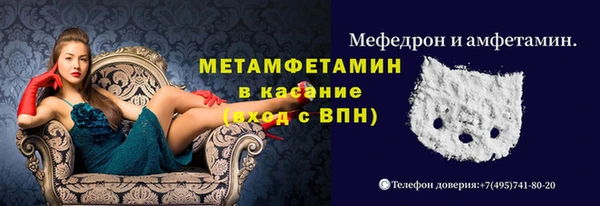 прущие грибы Балабаново
