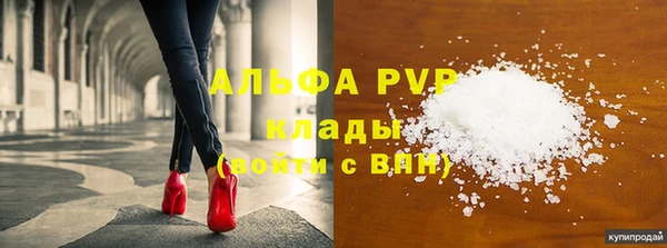 прущие грибы Балабаново
