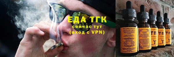 прущие грибы Балабаново