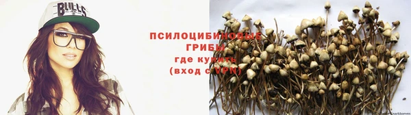прущие грибы Балабаново
