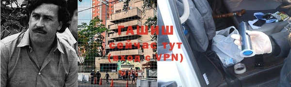 прущие грибы Балабаново