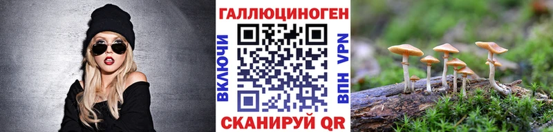 Псилоцибиновые грибы мицелий где можно купить Магас
